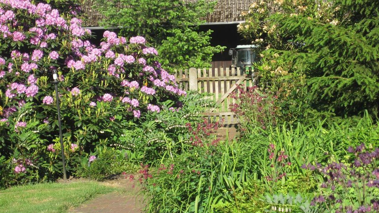 Garten Garten